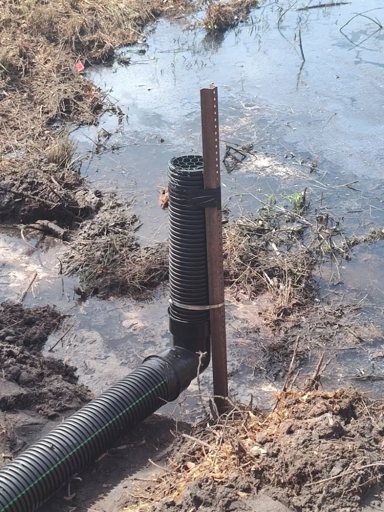 Top-rated outdoor landscaping with custom design across Panama City, FL - Katiebugs Lawn Care