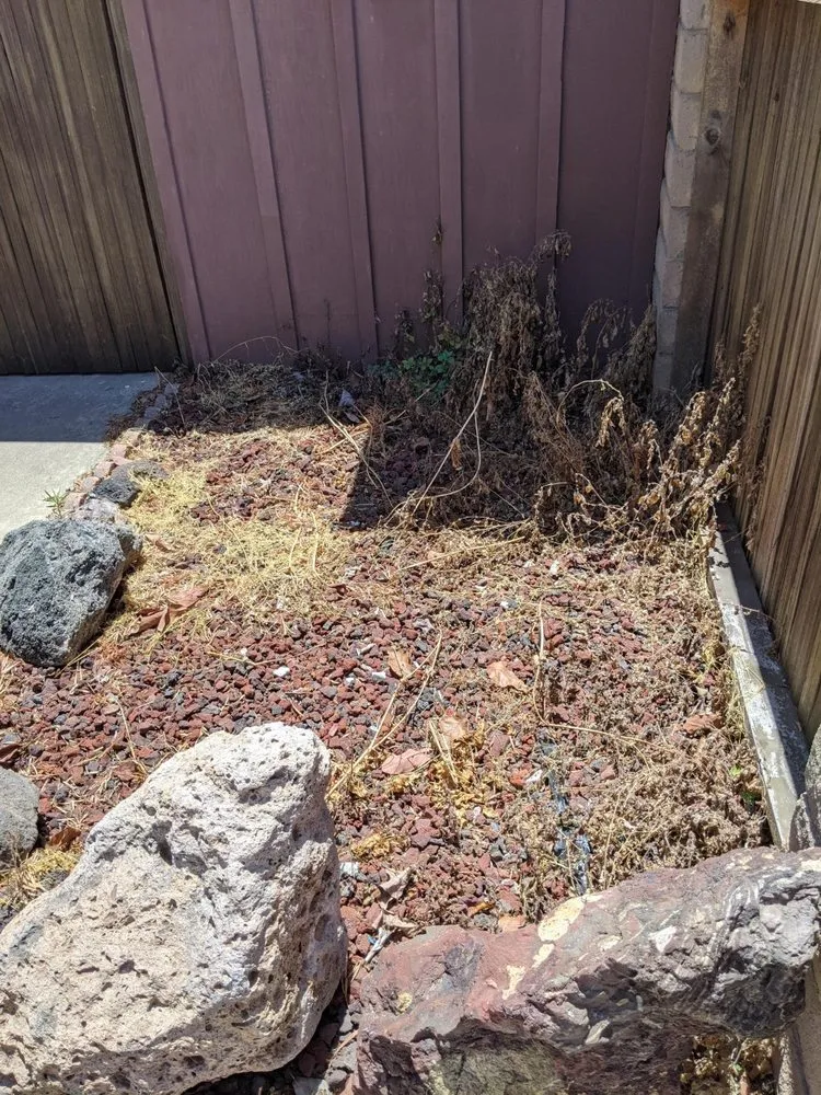 Trusted landscape installation with custom design across Fountain Valley, CA - Kato Construction & Landscape