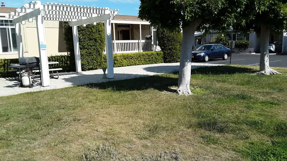 Custom lawn care service in Fountain Valley, CA by Kato Construction & Landscape