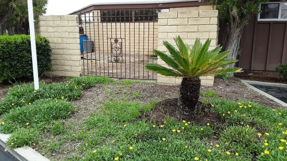 Custom outdoor landscaping experts serving Fountain Valley, CA - Kato Construction & Landscape