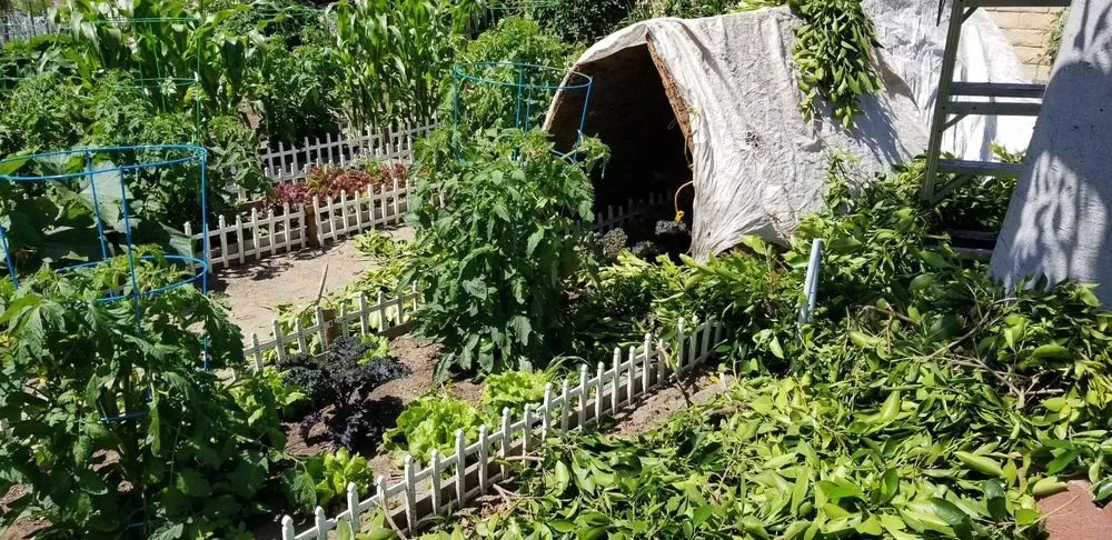 Expert outdoor landscaping experts serving Fountain Valley, CA - Kato Construction & Landscape