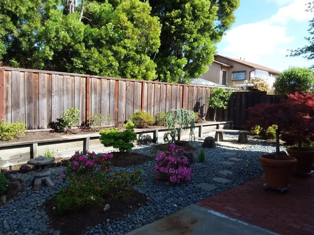 Local landscape design in Berkeley, CA - Katsura Landscaping