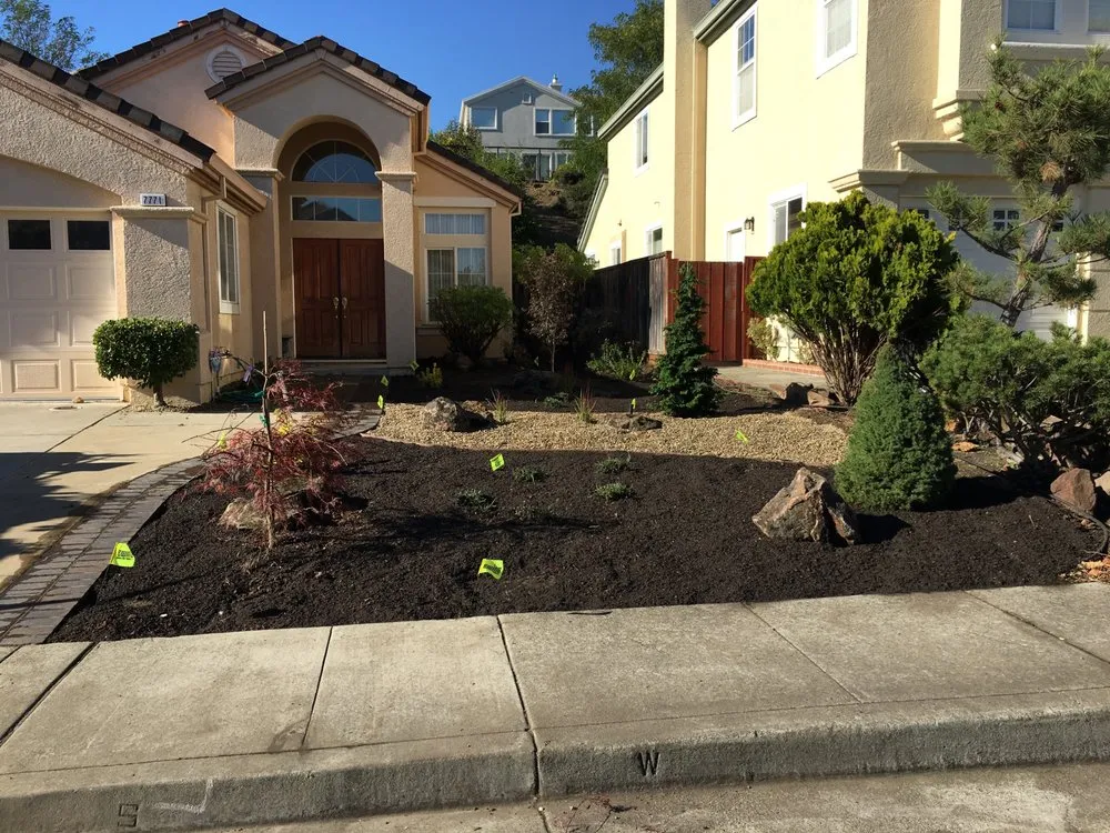 Top-rated landscaping services experts serving Berkeley, CA - Katsura Landscaping