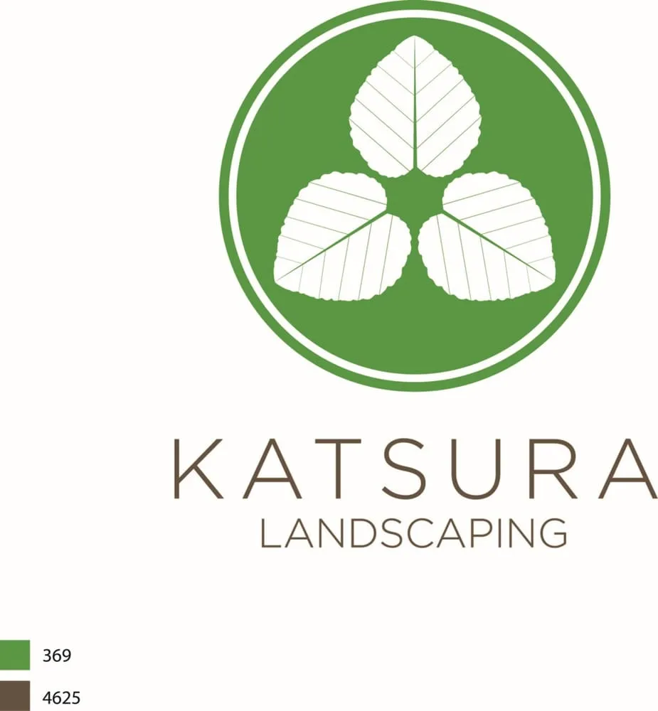 Local yard cleanup service in Berkeley, CA by Katsura Landscaping