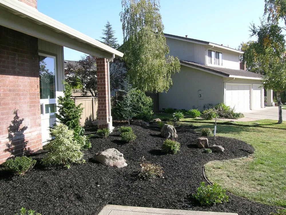 Local outdoor landscaping in Berkeley, CA - Katsura Landscaping