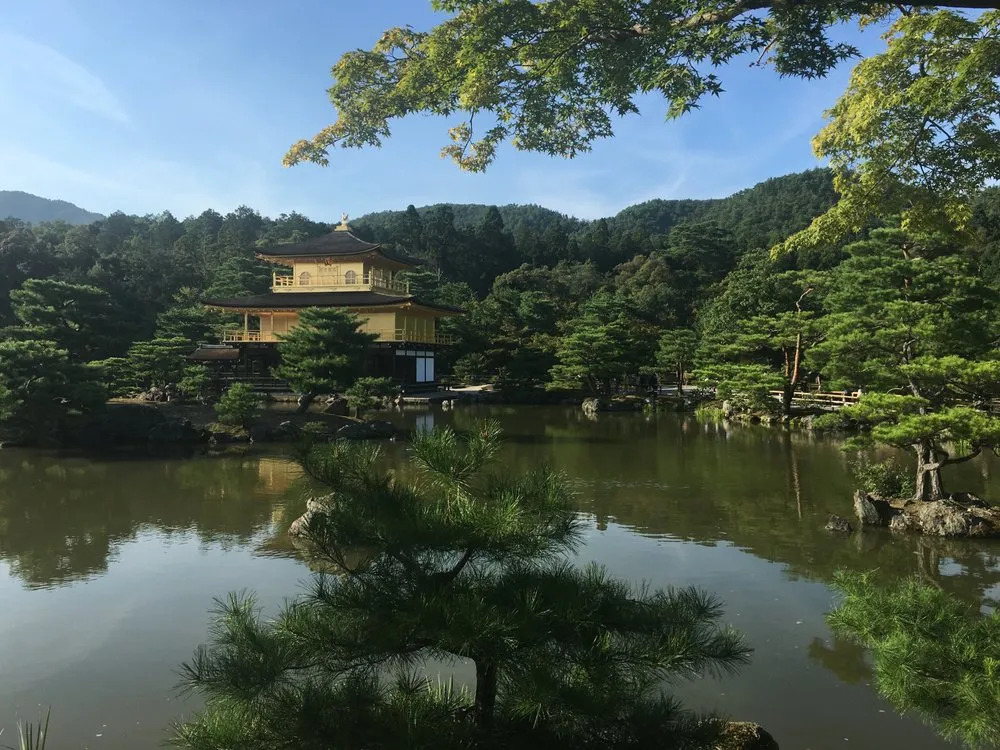 Local lawn mowing service for beautiful yards in Berkeley, CA by Katsura Landscaping