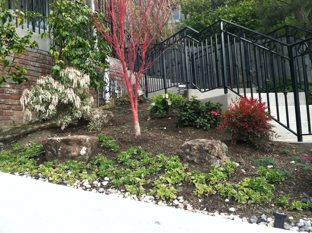 Professional garden landscaping near you in Berkeley, CA by Katsura Landscaping
