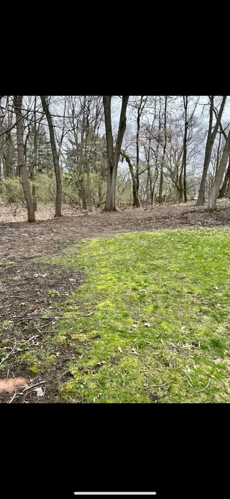 Expert lawn mowing service in Union, MI by Kattniss Evergreens Quality Landscaping