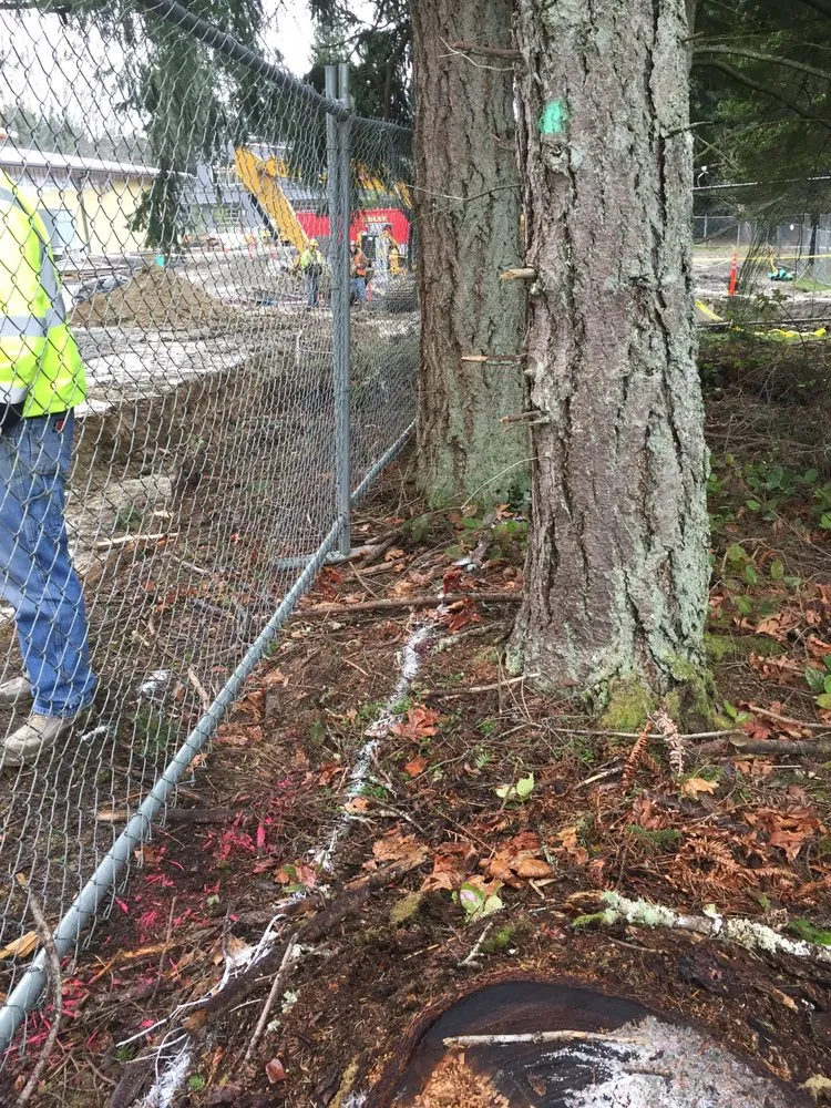 Reliable outdoor landscaping experts serving Edmonds, WA - Katy Bigelow