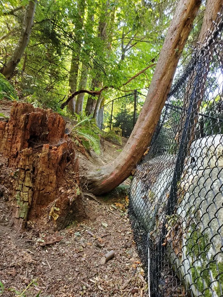 Trusted landscape installation in Edmonds, WA - Katy Bigelow