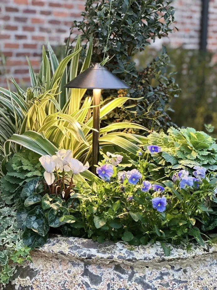 Reliable landscape installation in Katy, TX - Katy Landscape Services