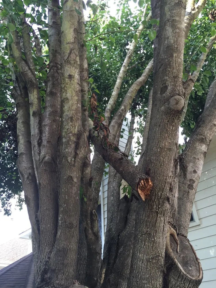 Custom outdoor landscaping experts serving Katy, TX - Katy Landscaping