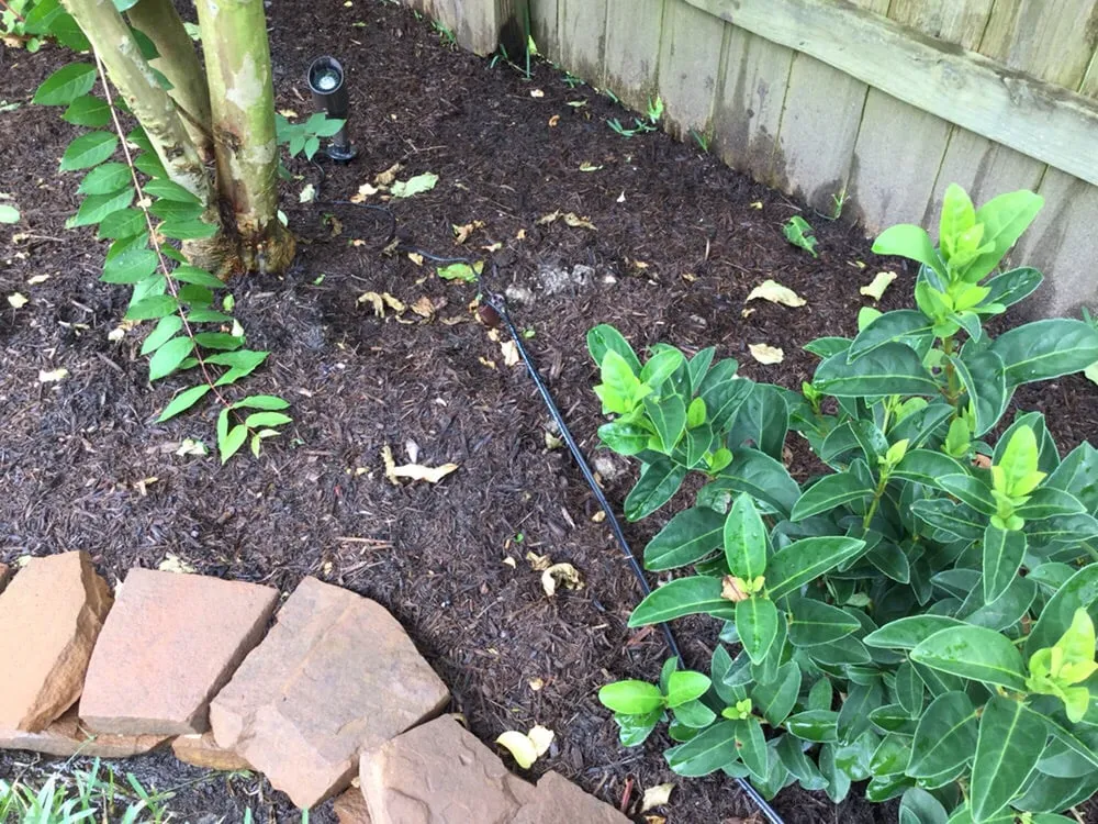 Professional garden landscaping near you across Katy, TX - Katy Landscaping