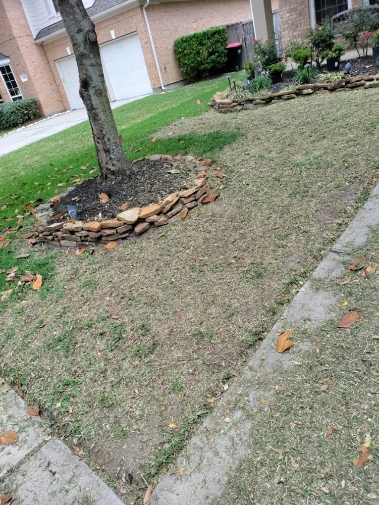 Trusted landscape installation near you in Katy, TX by Katy Lawn Pros