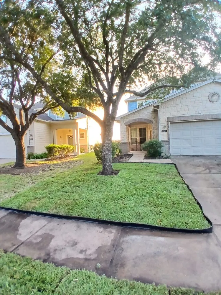 Local yard maintenance experts serving Katy, TX - Katy Lawn Pros