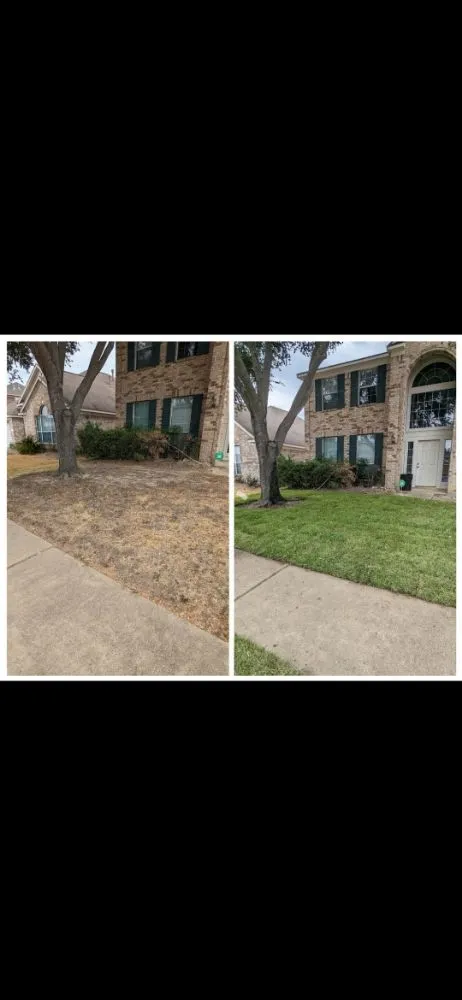 Expert yard cleanup service experts serving Katy, TX - Katy Lawn Pros