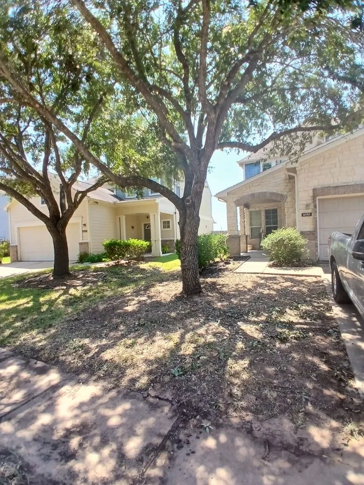 Reliable lawn care service in Katy, TX - Katy Lawn Pros