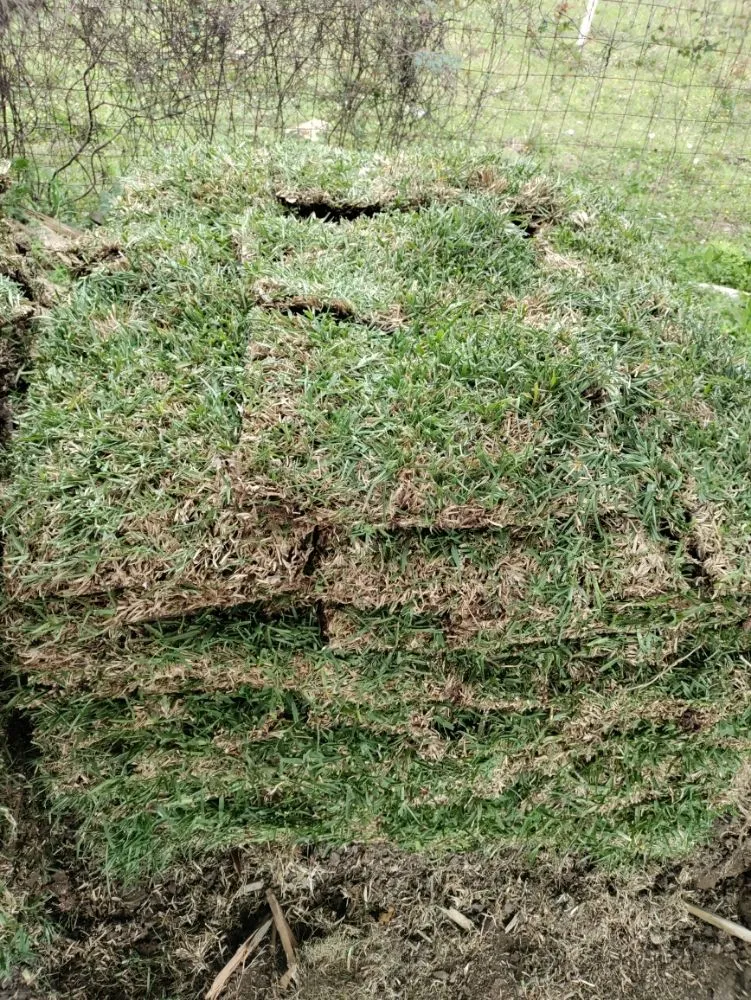 Custom lawn care service with custom design in Katy, TX by Katy Lawn Pros