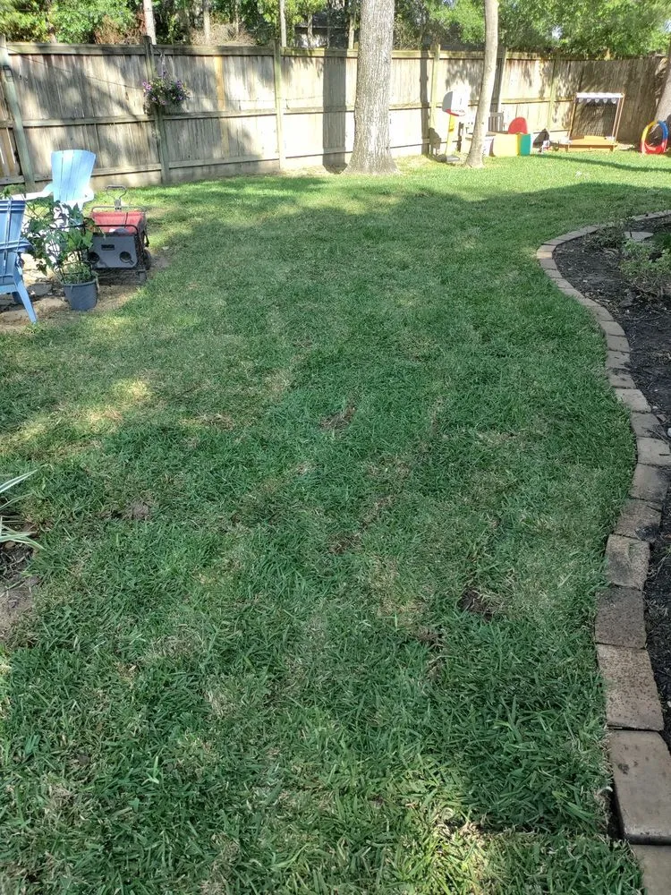 Trusted yard maintenance near you across Katy, TX - Katy Lawn Pros