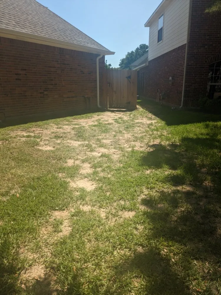 Custom lawn mowing service experts serving Katy, TX - Katy Lawn Pros