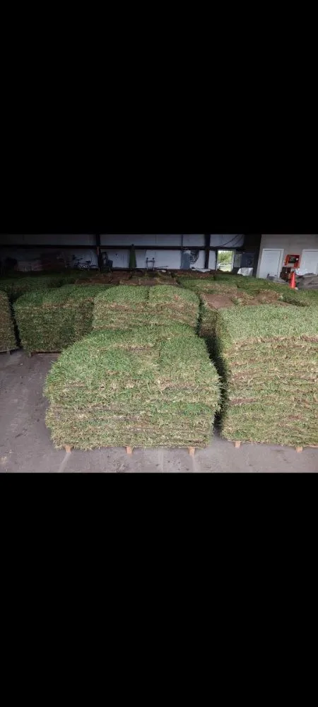 Expert yard maintenance experts serving Katy, TX - Katy Lawn Pros