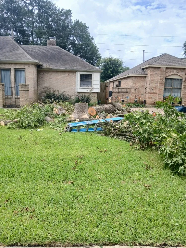 Custom lawn care service experts serving Katy, TX - Katy Lawn Pros