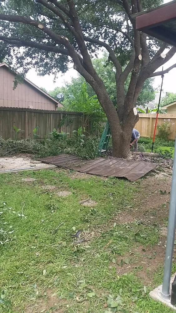 Trusted landscaping services for outdoor upgrades across Katy, TX - Katy Yard Pro