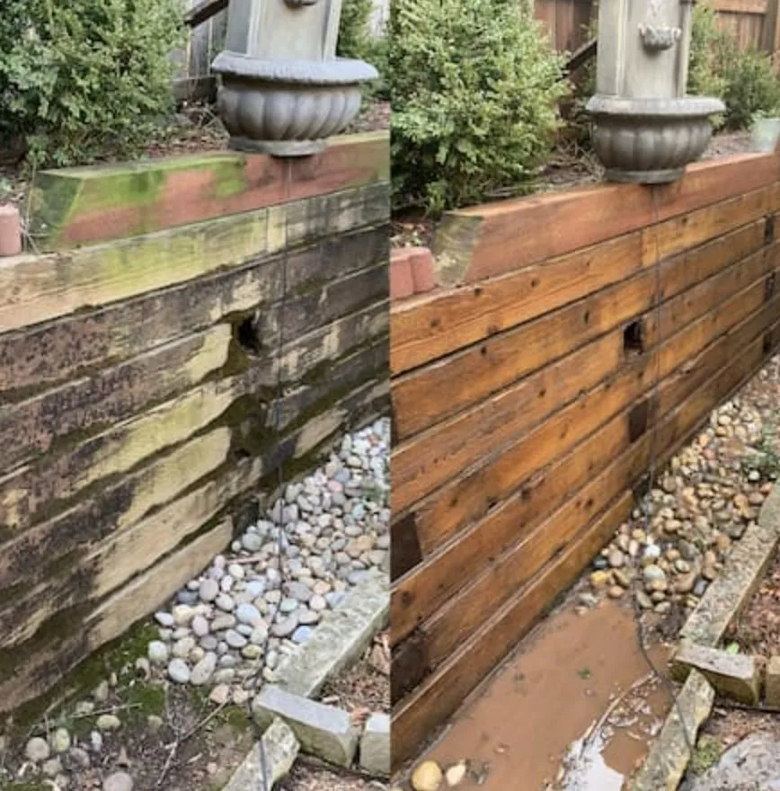 Trusted residential landscaping in Katy, TX - katystripes