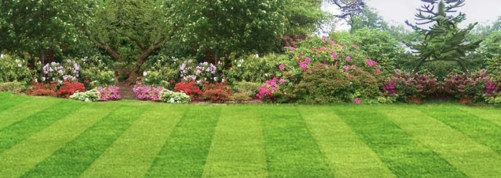 Reliable landscape installation for homes in Katy, TX by katystripes