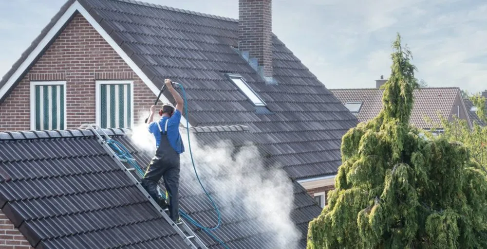 Reliable lawn mowing service with custom design in Katy, TX by katystripes