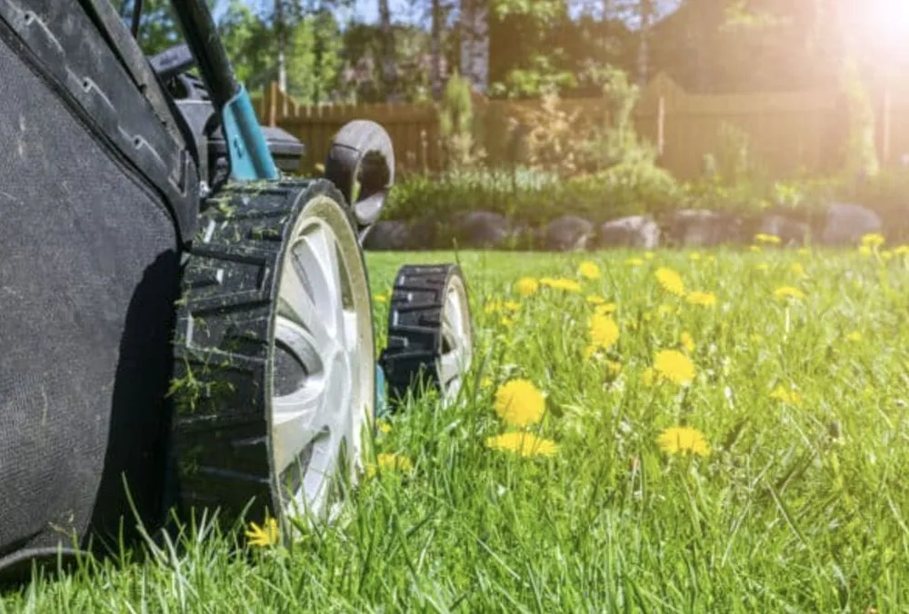 Custom outdoor landscaping for homes across Katy, TX - katystripes