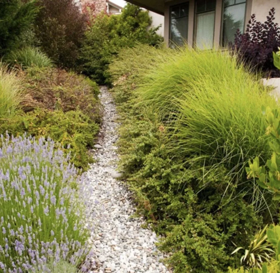 Custom landscaping services for year-round maintenance in Katy, TX by katystripes