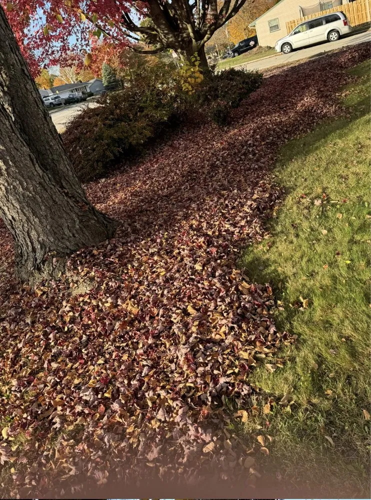 Trusted lawn care service experts serving Fond du lac, WI - Katz Property Management