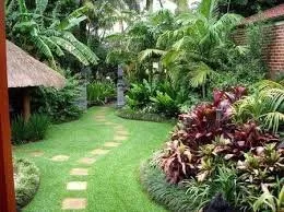 Reliable outdoor landscaping in Lihue, HI by Kauai Landscaping Professionals
