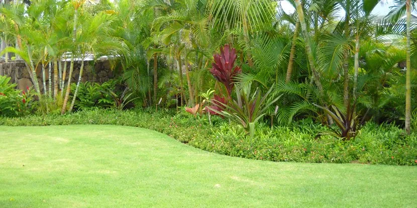 Professional landscape installation experts serving Lihue, HI - Kauai Landscaping Professionals