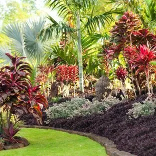 Kauai Landscaping Professionals