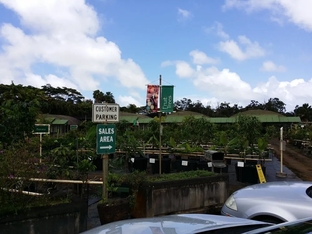 Affordable lawn mowing service for beautiful yards in Lihue, HI by Kauai Nursery & Landscaping