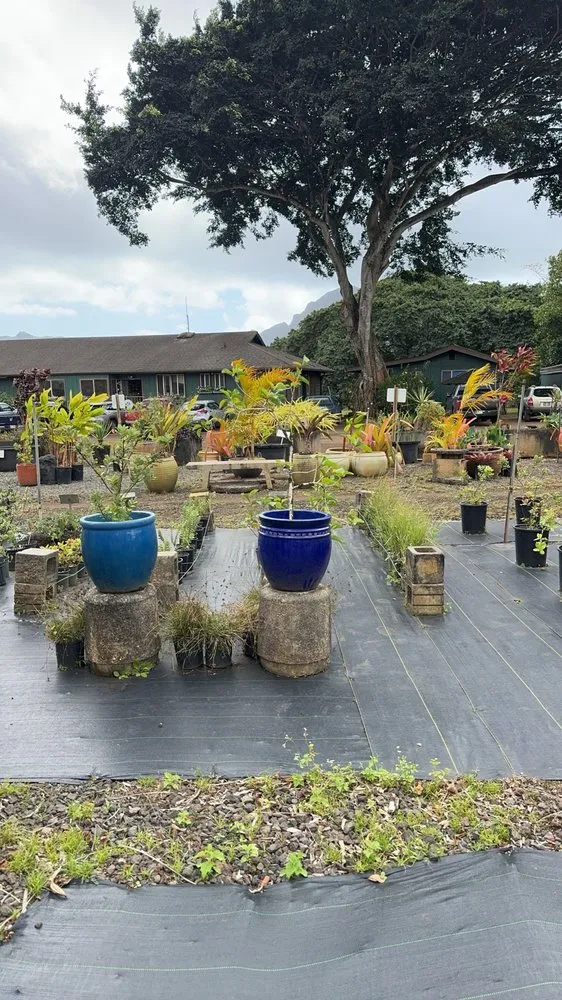 Professional landscape design with custom design in Lihue, HI by Kauai Nursery & Landscaping