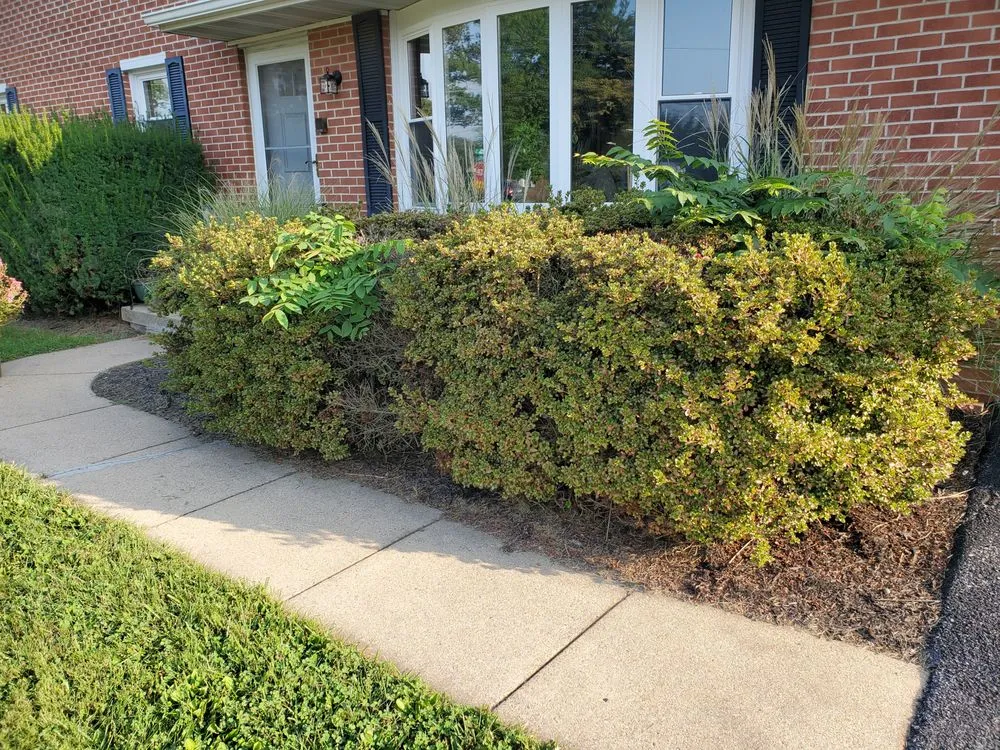 Professional yard cleanup service in Fayetteville, PA - Kauffman's Lawn Service
