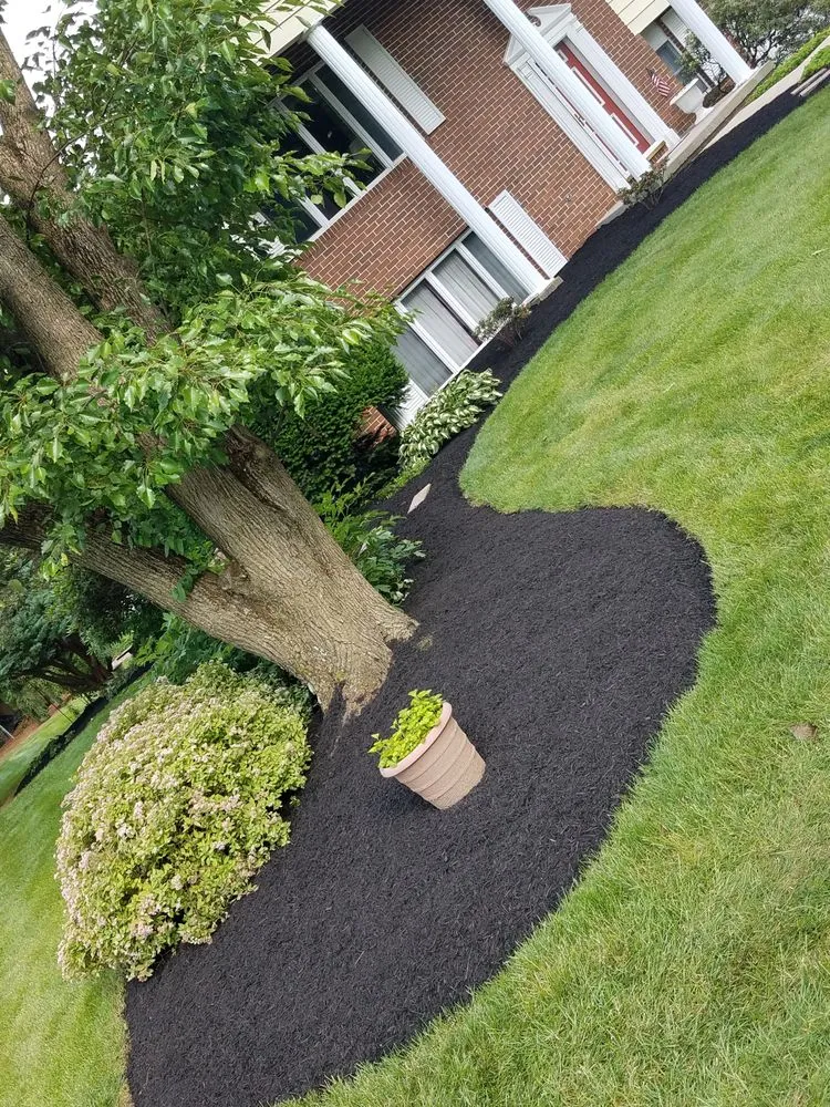 Expert yard maintenance in Fayetteville, PA by Kauffman's Lawn Service