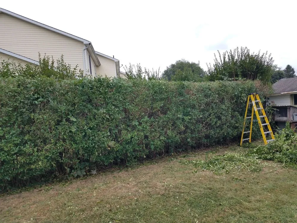 Expert garden landscaping for year-round maintenance across Fayetteville, PA - Kauffman's Lawn Service