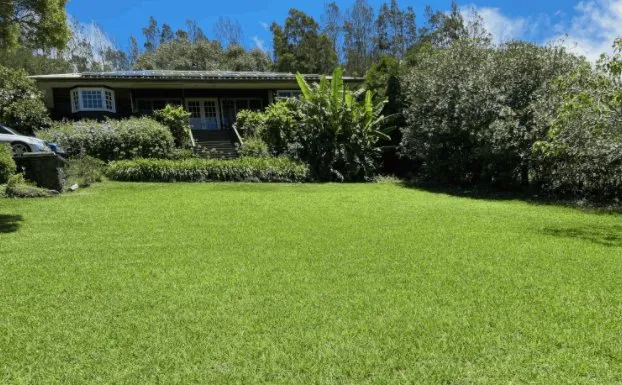 Professional landscaping services with custom design across Waimea, HI - Kauka'i Landscape & Maintenance