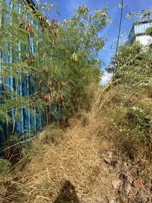 Kauka'i Landscape & Maintenance