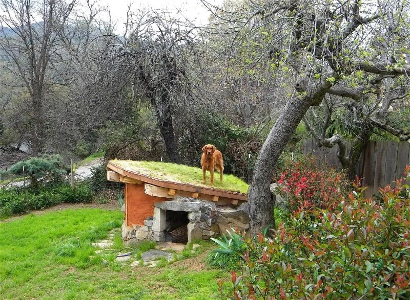 Affordable lawn care service in Tuolumne, CA by Kautzer Craftsmanship