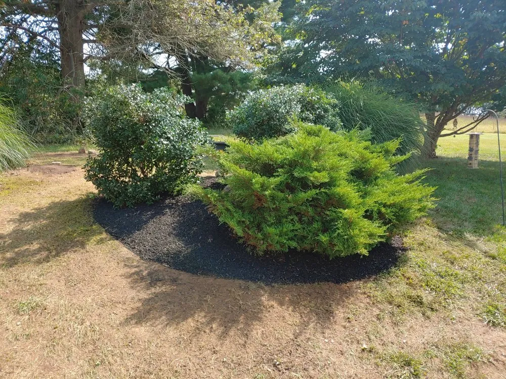 Expert outdoor landscaping in Wilmington, DE by Kavanagh Services