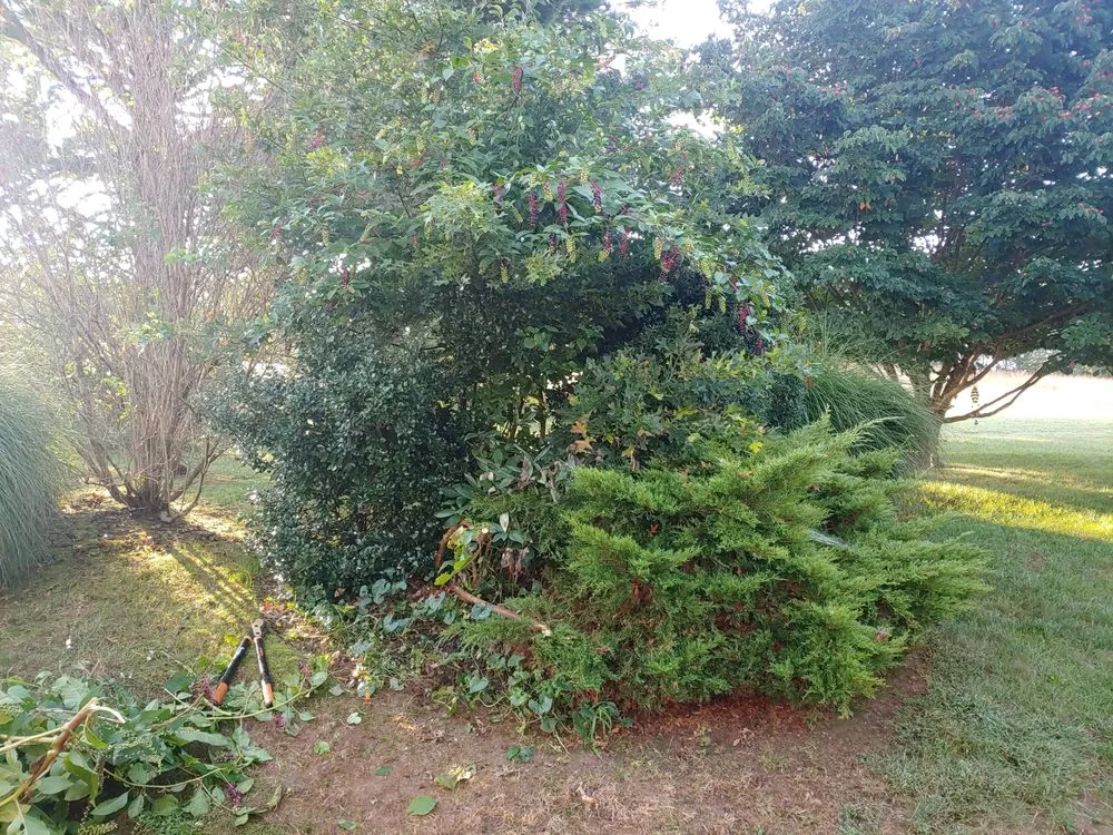 Professional garden landscaping in Wilmington, DE - Kavanagh Services