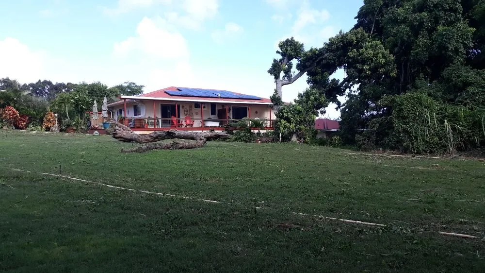 Trusted lawn care service near you across Koloa, HI - Kavikacare Landscape and Yard Maintenance