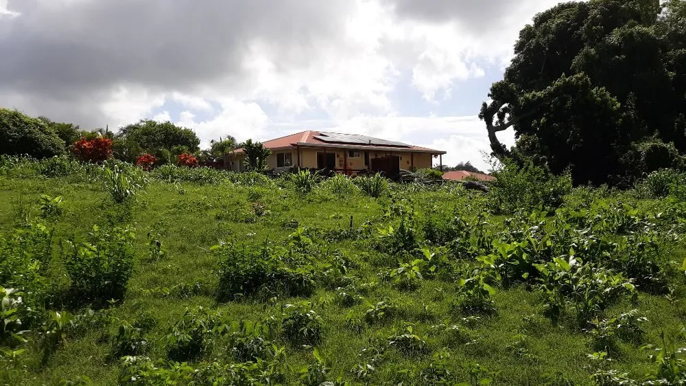 Local residential landscaping experts serving Koloa, HI - Kavikacare Landscape and Yard Maintenance