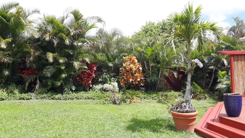 Reliable yard cleanup service for residential properties in Koloa, HI by Kavikacare Landscape and Yard Maintenance