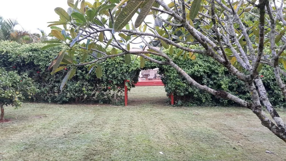 Trusted lawn mowing service for year-round maintenance across Koloa, HI - Kavikacare Landscape and Yard Maintenance